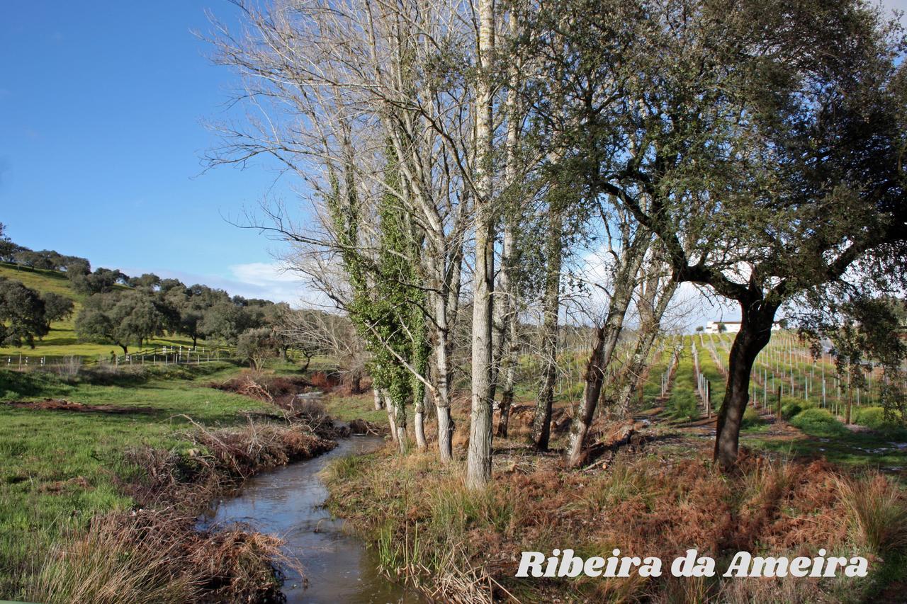 Hotel Rural Da Ameira Montemor-o-Novo Kültér fotó